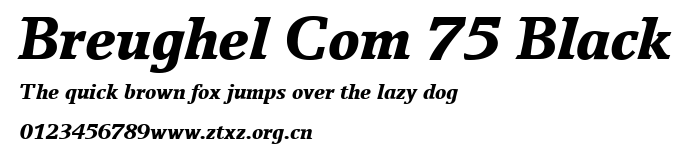 Breughel Com 75 Black.ttf