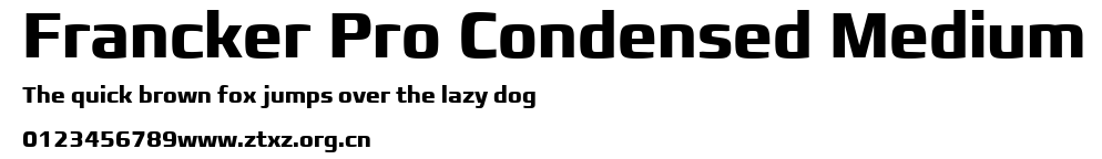 Francker Pro Condensed Medium.ttf