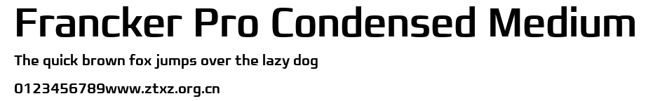 Francker Pro Condensed Medium.ttf