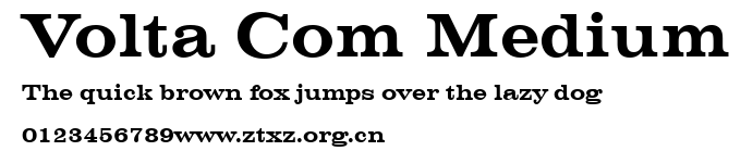 Volta Com Medium.ttf