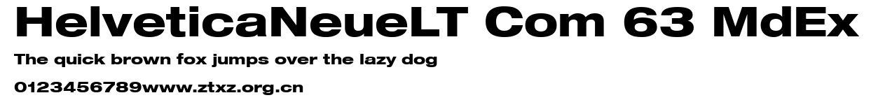 HelveticaNeueLT Com 63 MdEx.ttf