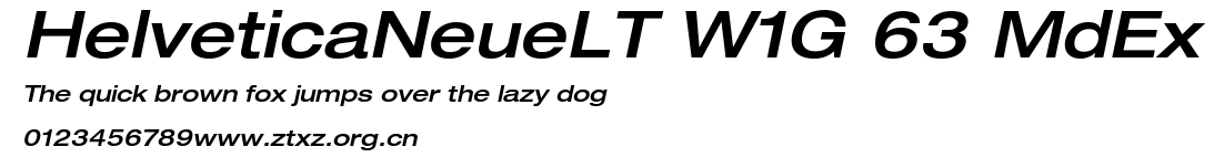 HelveticaNeueLT W1G 63 MdEx.ttf