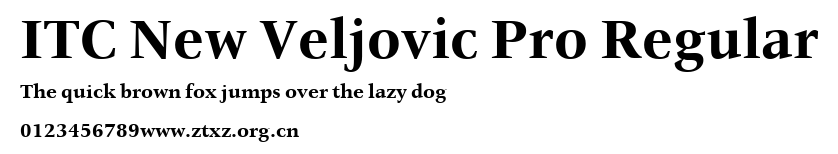 ITC New Veljovic Pro Regular.ttf