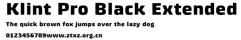 Klint Pro Black Extended.ttf
