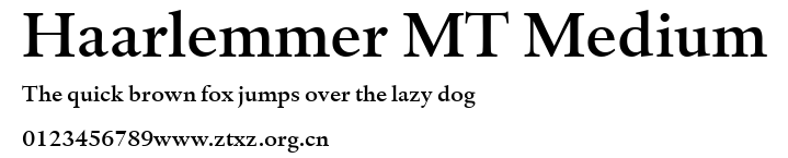 Haarlemmer MT Medium.ttf