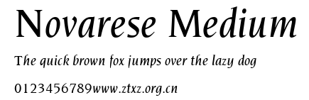 Novarese Medium.ttf