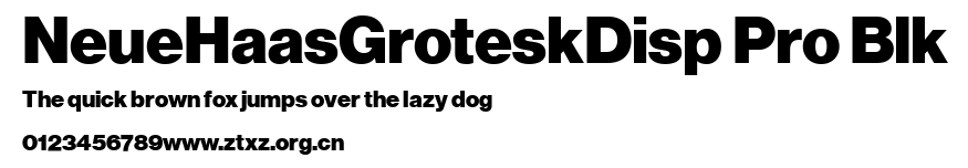 NeueHaasGroteskDisp Pro Blk.ttf