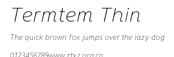 Termtem Thin.ttf