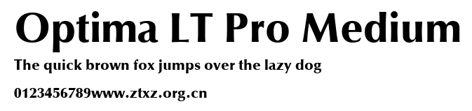 Optima LT Pro Medium.ttf