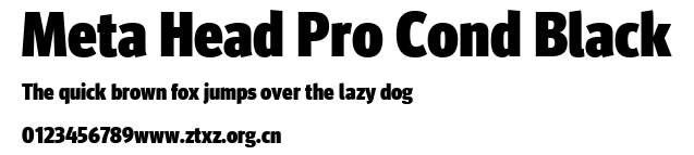 Meta Head Pro Cond Black.ttf