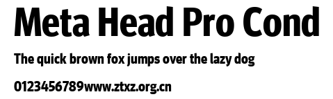 Meta Head Pro Cond.ttf