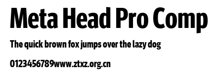 Meta Head Pro Comp.ttf