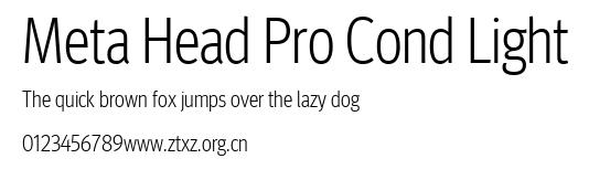 Meta Head Pro Cond Light.ttf