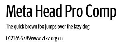 Meta Head Pro Comp.ttf