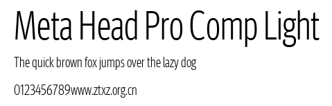 Meta Head Pro Comp Light.ttf