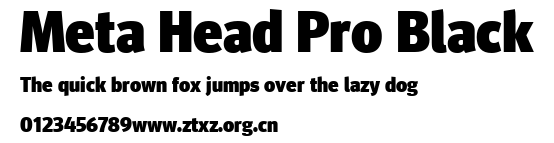 Meta Head Pro Black.ttf