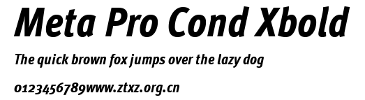 Meta Pro Cond Xbold.ttf