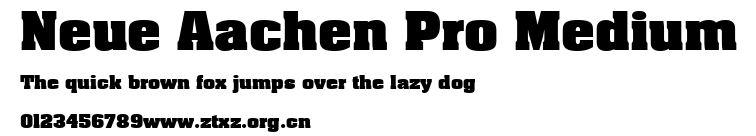 Neue Aachen Pro Medium.ttf