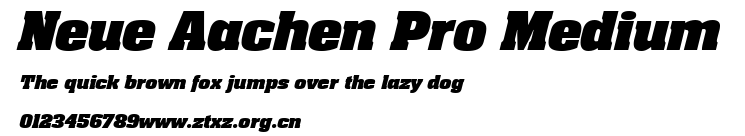 Neue Aachen Pro Medium.ttf