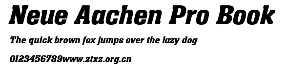 Neue Aachen Pro Book.ttf