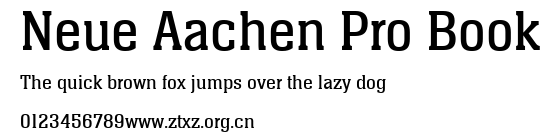 Neue Aachen Pro Book.ttf