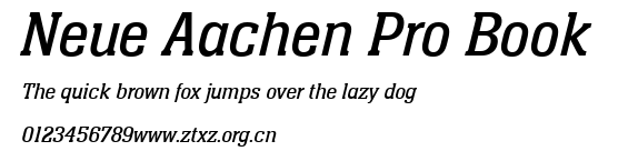 Neue Aachen Pro Book.ttf
