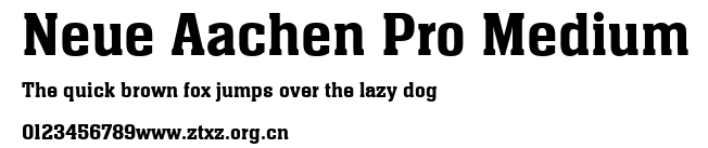 Neue Aachen Pro Medium.ttf