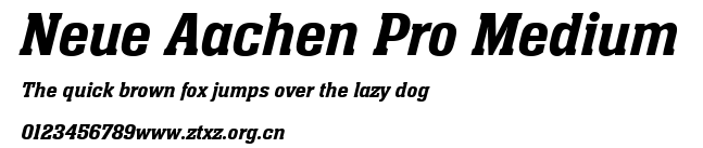 Neue Aachen Pro Medium.ttf