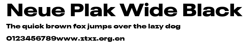Neue Plak Wide Black.ttf