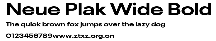 Neue Plak Wide Bold.ttf