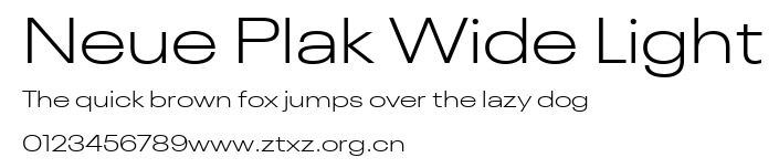 Neue Plak Wide Light.ttf