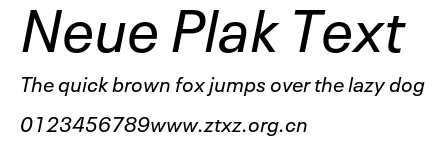 Neue Plak Text.ttf