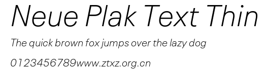 Neue Plak Text Thin.ttf