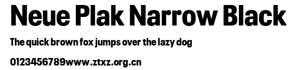 Neue Plak Narrow Black.ttf