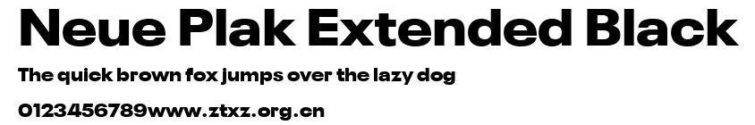Neue Plak Extended Black.ttf