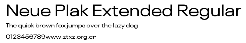 Neue Plak Extended Regular.ttf