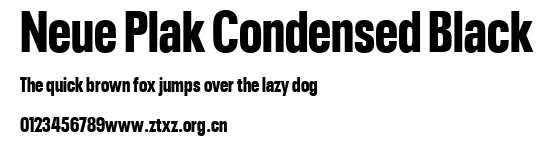 Neue Plak Condensed Black.ttf