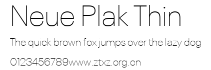 Neue Plak Thin.ttf
