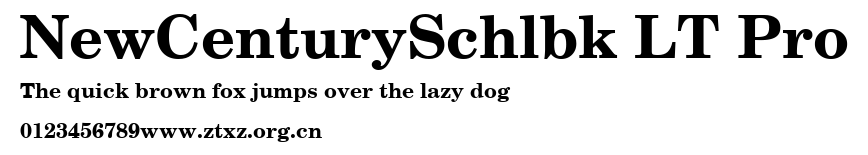 NewCenturySchlbk LT Pro.ttf