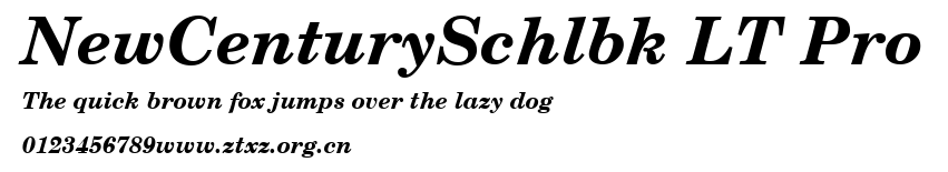 NewCenturySchlbk LT Pro.ttf