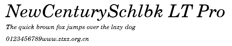 NewCenturySchlbk LT Pro.ttf