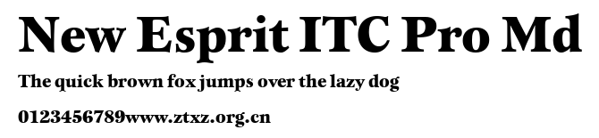 New Esprit ITC Pro Md.ttf