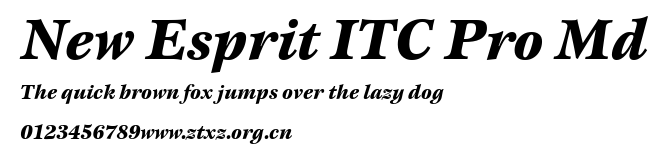 New Esprit ITC Pro Md.ttf