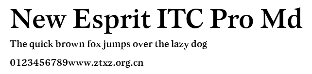 New Esprit ITC Pro Md.ttf