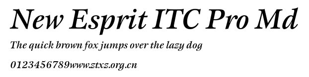 New Esprit ITC Pro Md.ttf