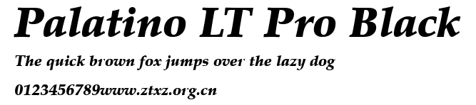 Palatino LT Pro Black.ttf