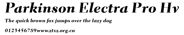 Parkinson Electra Pro Hv.ttf