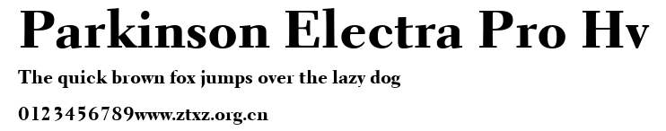 Parkinson Electra Pro Hv.ttf
