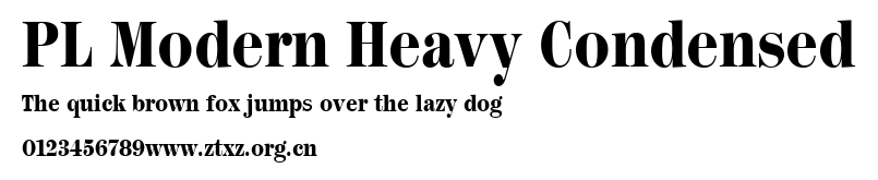 PL Modern Heavy Condensed.ttf