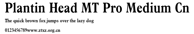 Plantin Head MT Pro Medium Cn.ttf